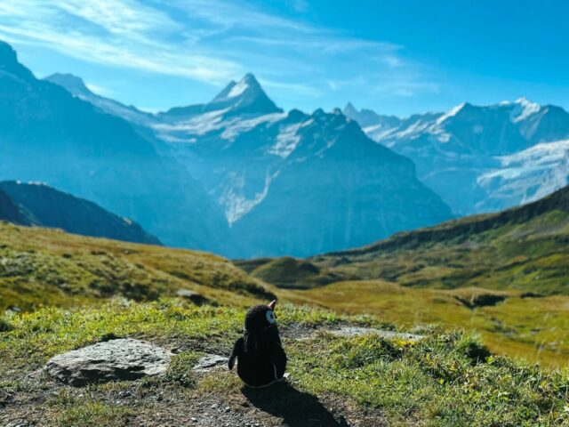 Interesting Things to Know About Switzerland Before Visiting 