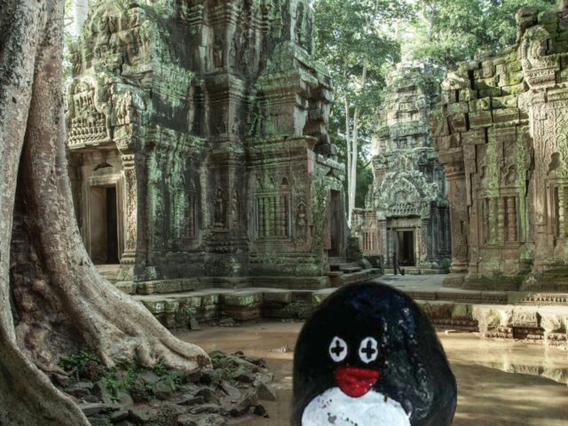 #143 – Ta Prohm Temple, Siem Reap, Cambodia