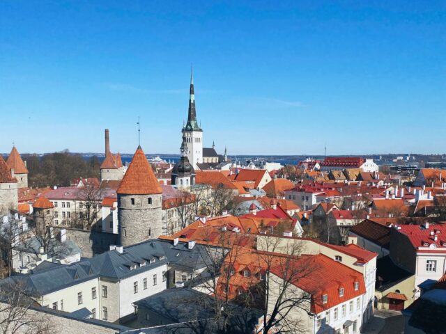 #24 – Piiskopi Observation Platform, Tallinn, Estonia