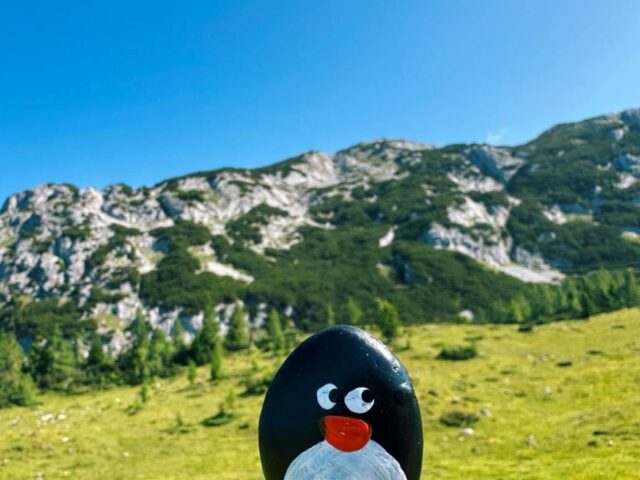 #633 – Grazer Hütte, Tauplitzalm plateau, Austria