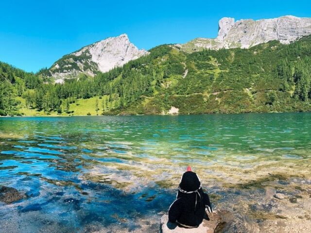 Tauplitz Summer Guide