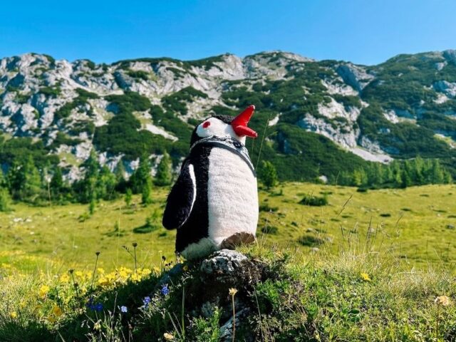 Start at the Summit: The Unexpected Way to Experience Tauplitzalm