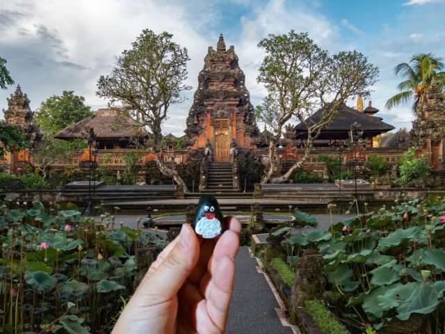 #162 – Pura Taman Kemuda Saraswati, Ubud, Bali