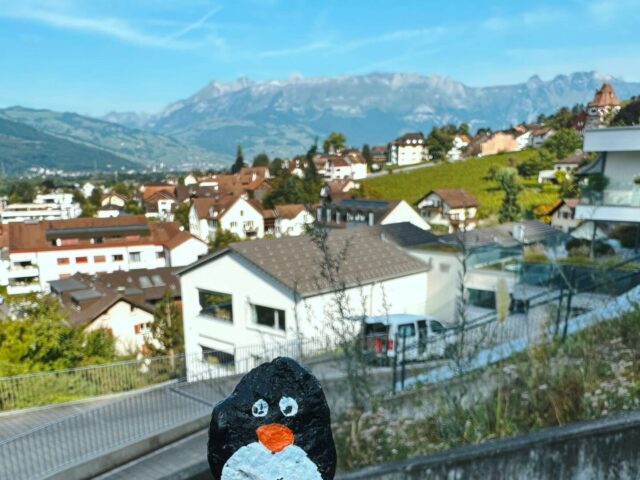 #276 – Way to the Castle, Vaduz, Liechtenstein