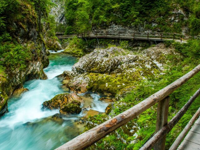 Vintgar Gorge ~ A Hike Through Slovenia’s Enchanted Wilderness