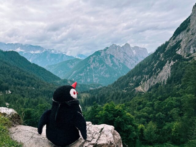 Waddling the Vršič Pass ~ A Journey through Slovenia’s Alpine Beauty