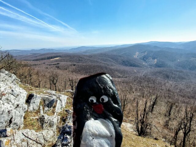 #309 – Vysoká, Little Carpathians, Slovakia