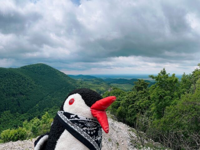 Waddling the Záruby Ridge