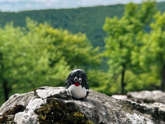 #461 – Viewpoint near Ostry Kamen, Little Carpathians, Slovakia