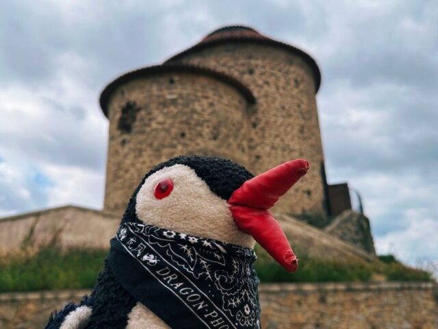 Znojmo Castle Travel Guide: Everything You Need to Know Before Visiting