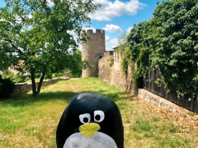 #566 – Dog Tower, Znojmo, Czechia